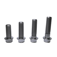 Titanium Bolts Hex Head M10 x 25 30 35 40