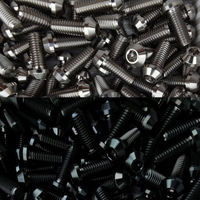 
              Modern Ducati 10 x Titanium Front Brake Disc Bolts (M8*20) Black / Silver
            